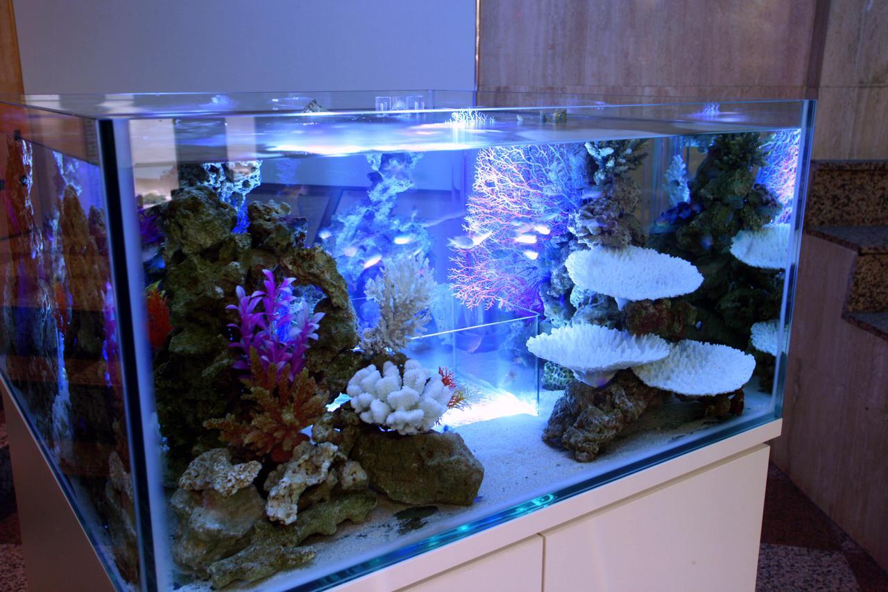 Hotel Aqua Blue Yokosuka (Adults Only) Dış mekan fotoğraf